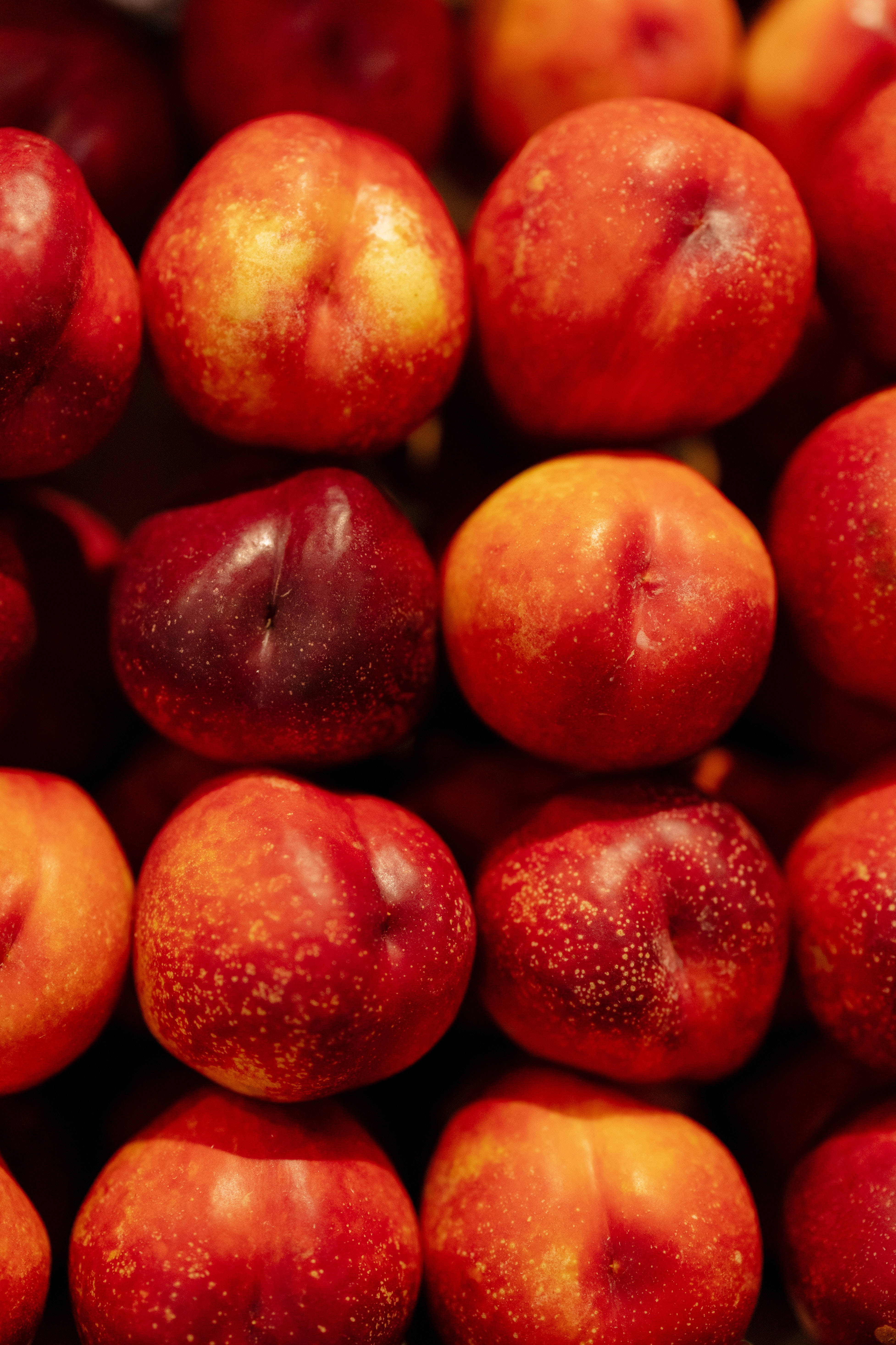 nectarine, glossy red, orange skin, 5K Phone Wallpaper