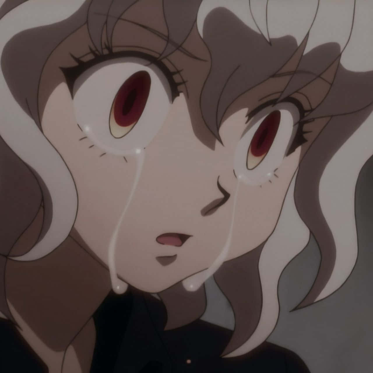 Neferpitou, anime girl, grey hair, HD Desktop Wallpaper