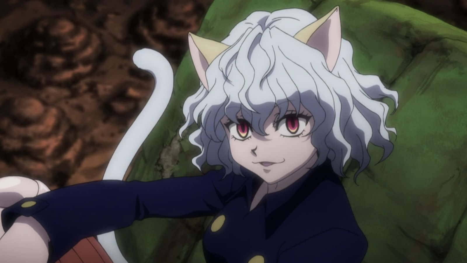 Neferpitou, cat-eared anime girl, silver hair, HD Desktop Wallpaper