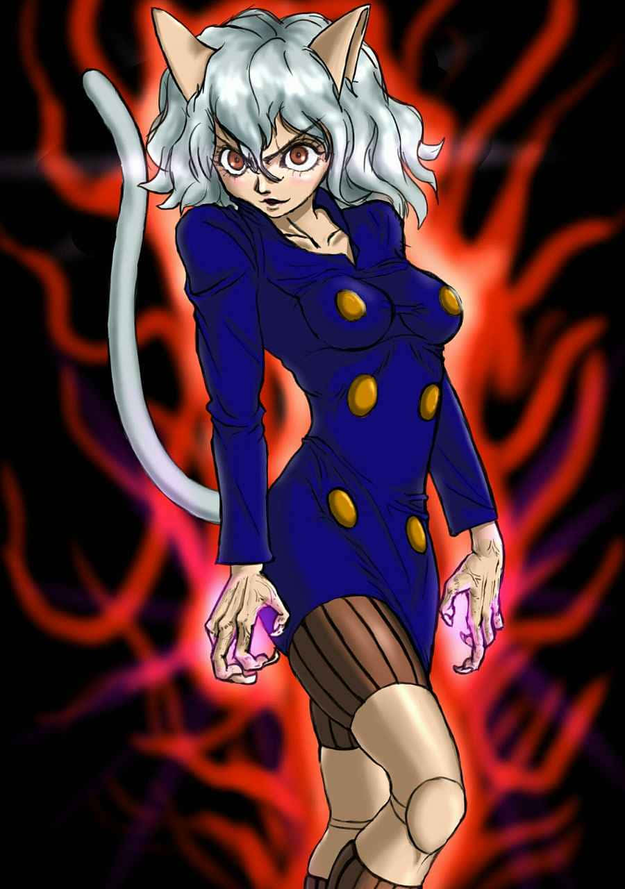 Neferpitou, silver-haired, cat-eared anime girl, HD Phone Wallpaper