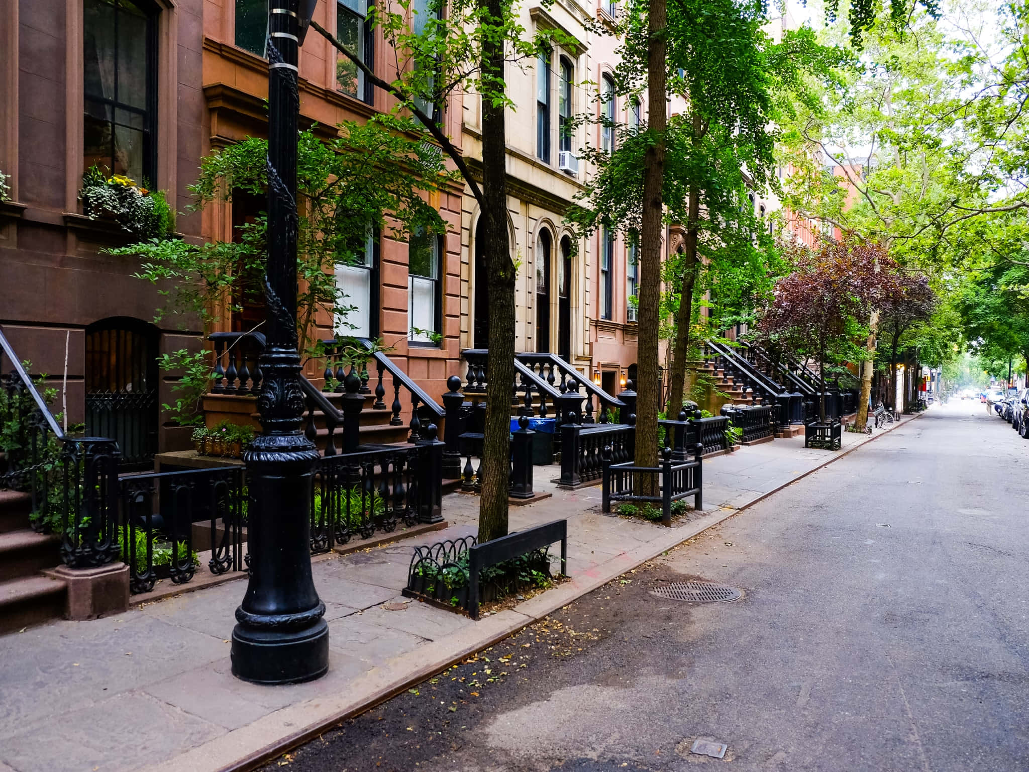 tree-lined urban street, brownstone buildings, black iron fences, Full HD Desktop Wallpaper
