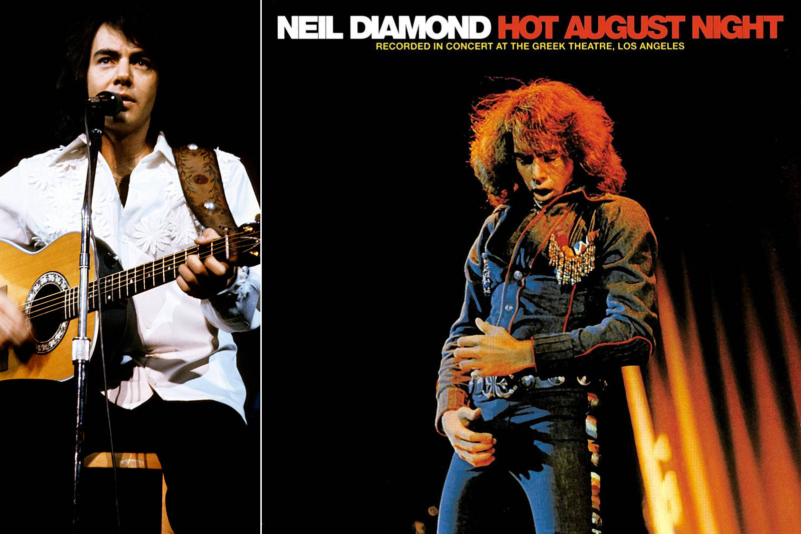 Neil Diamond, guitar, dramatic stage lights, HD Desktop Wallpaper