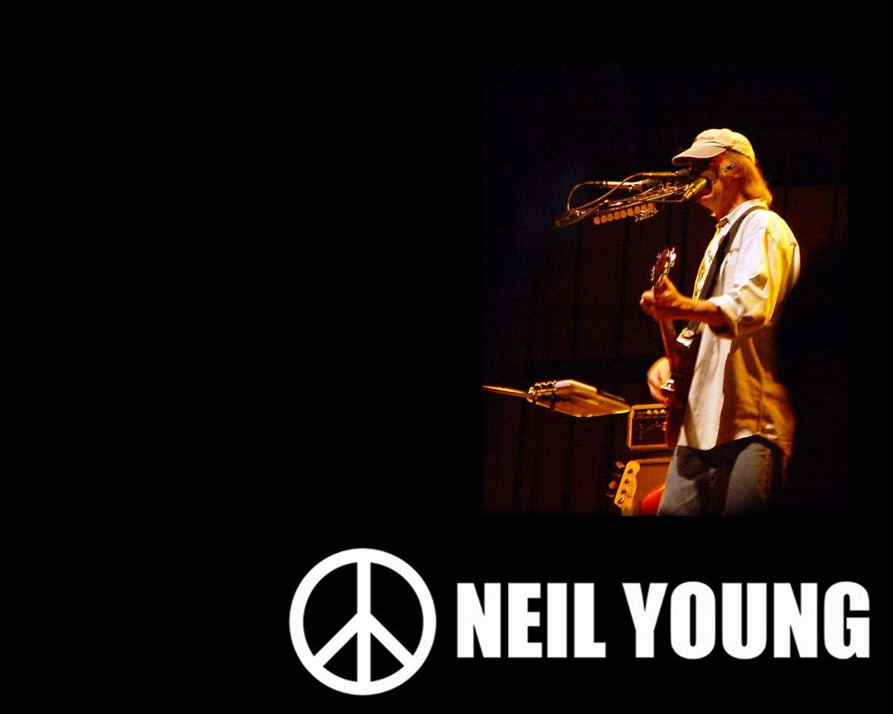 Neil Young, guitar, microphone, HD Desktop Wallpaper