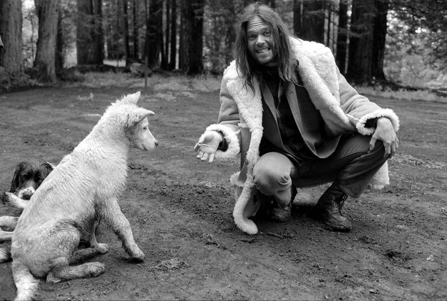 Neil Young, shearling coat, forest, HD Desktop Wallpaper