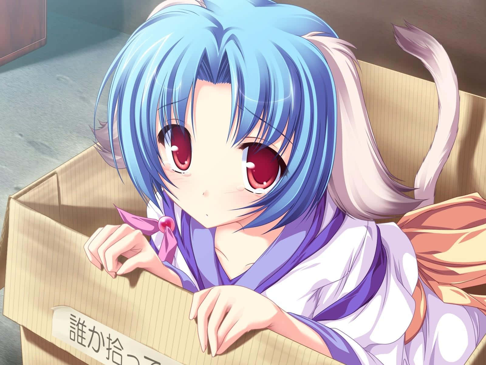 anime neko girl, blue-haired, red eyes, HD Desktop Wallpaper