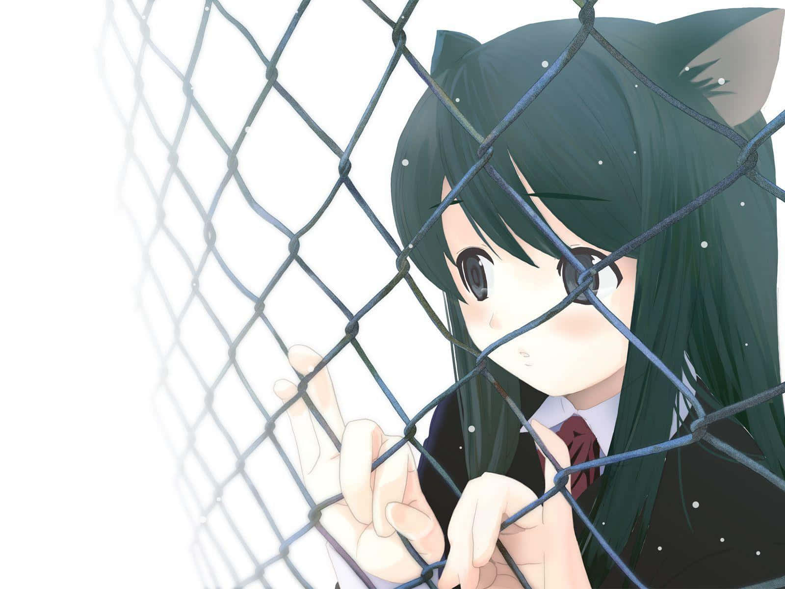 anime cat girl, school uniform, chain-link fence, HD Desktop Wallpaper