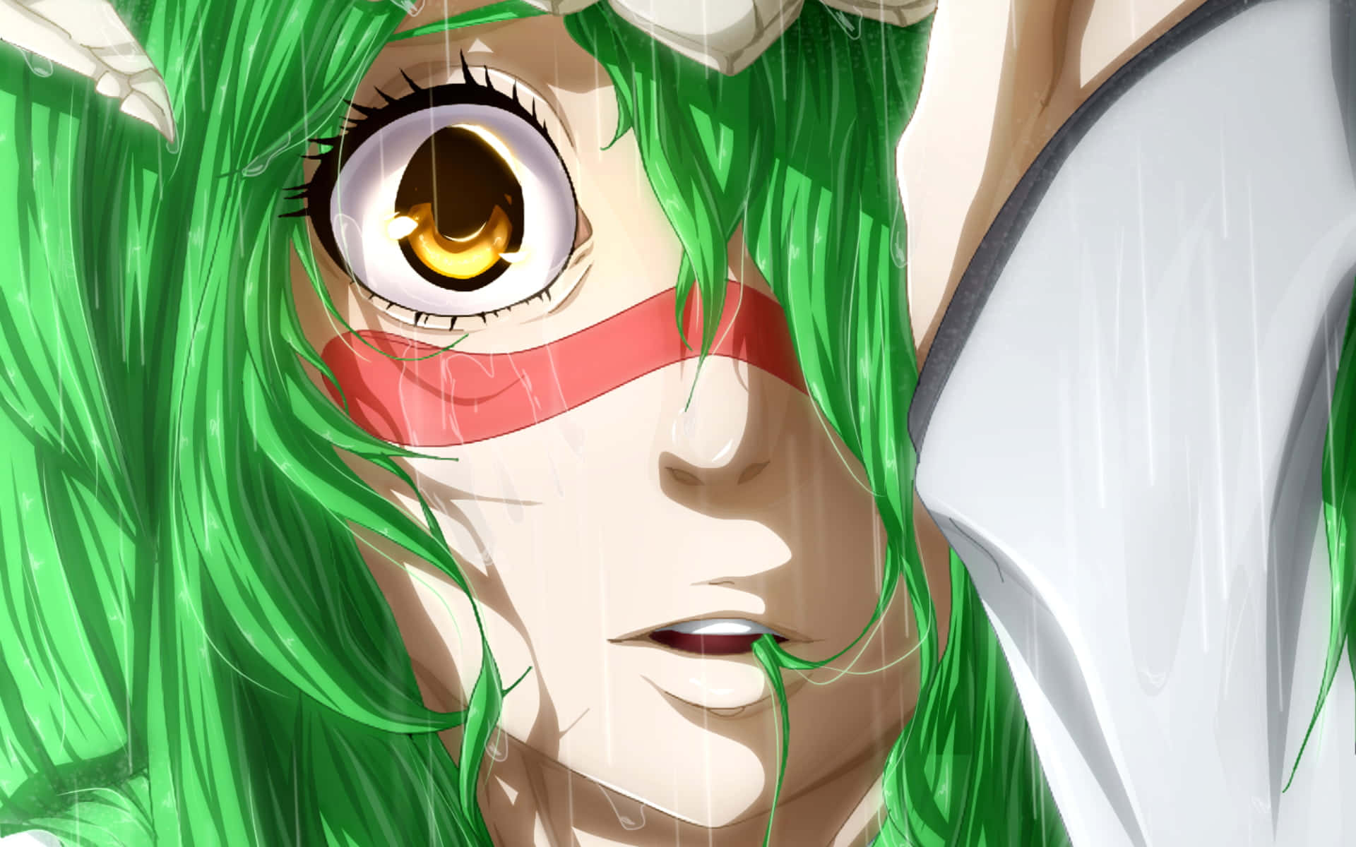Nelliel Tu Odelschwanck, vibrant green hair, golden eye, Full HD Desktop Wallpaper