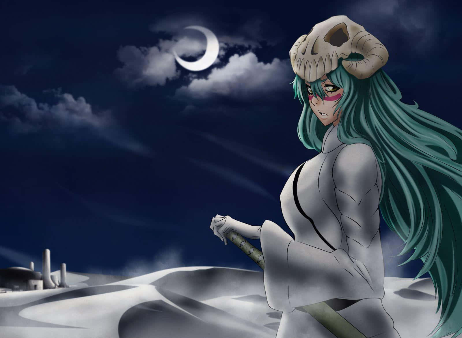 Nelliel Tu Odelschwanck, teal-haired, anime warrior, HD Desktop Wallpaper