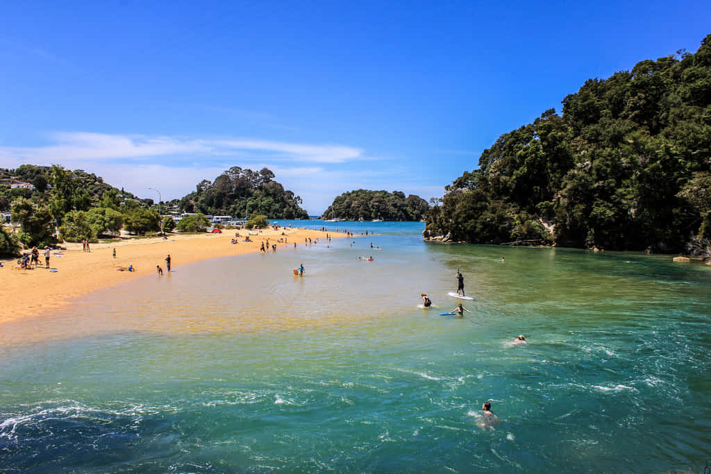 Nelson, sunny beach day, turquoise waters, SD Desktop Wallpaper