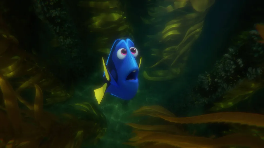 Nemo