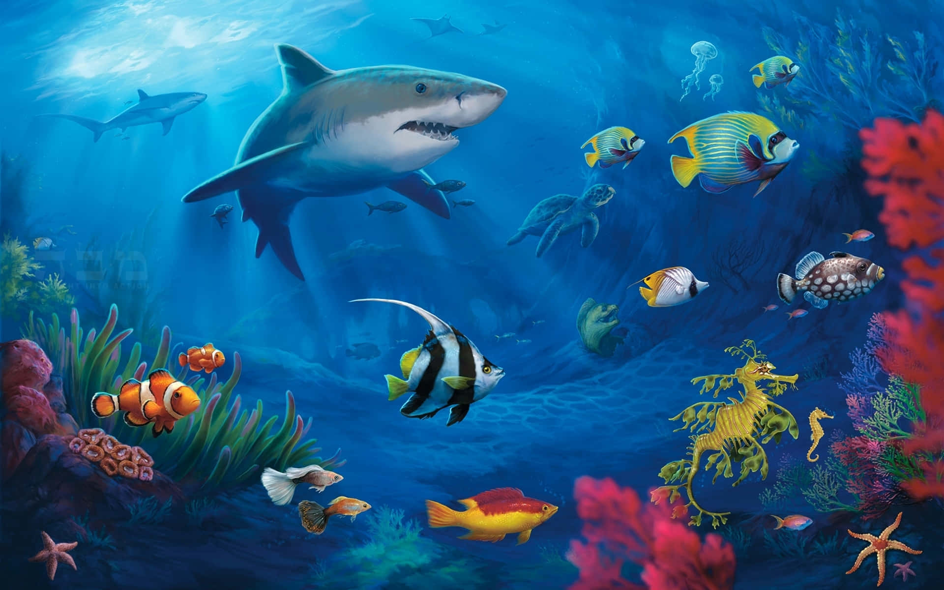 Nemo, underwater scene, colorful fish, Full HD Desktop Wallpaper