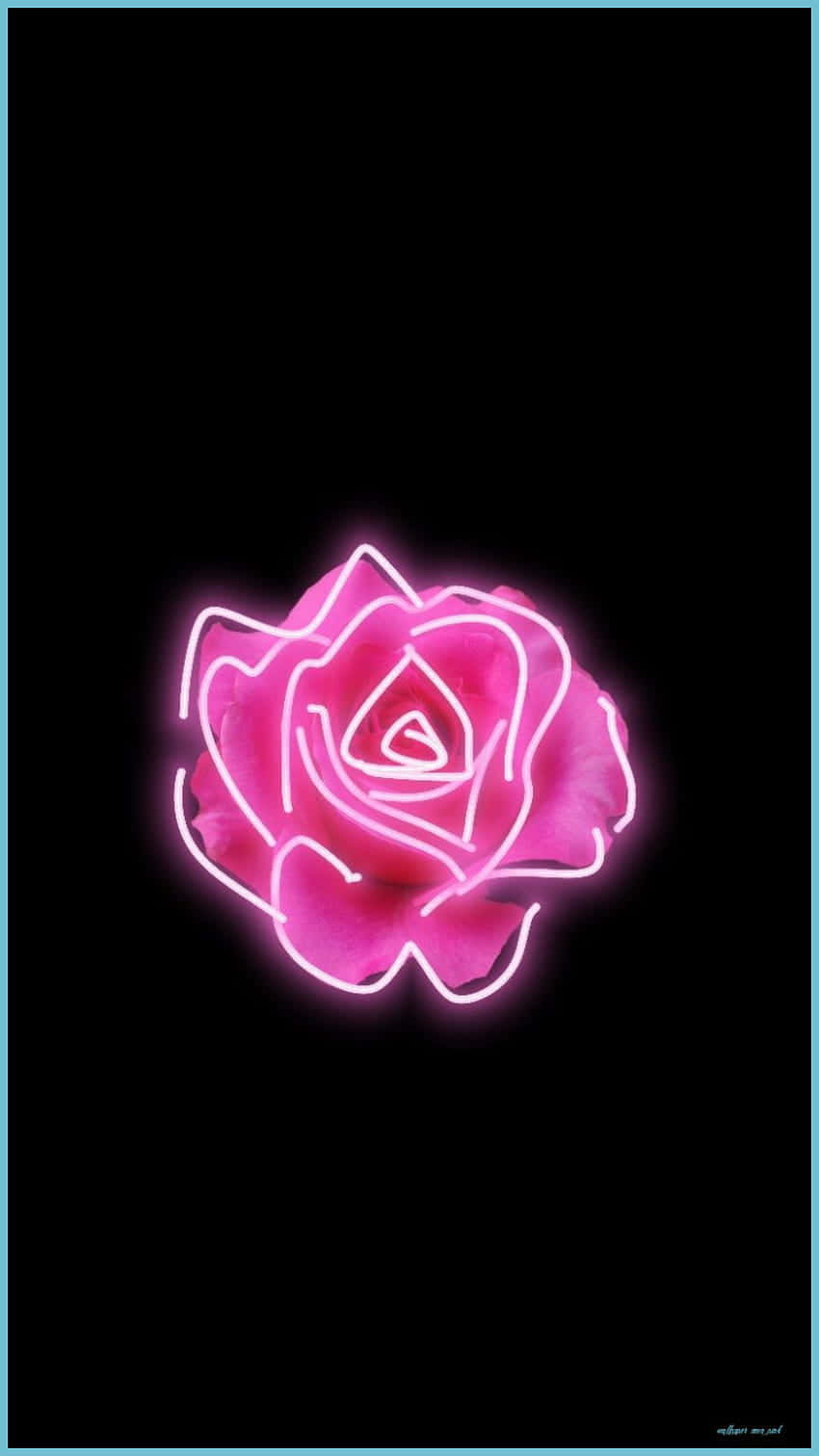 Neon Aesthetic Phone, glowing pink neon rose, bright white outlines, HD Phone Wallpaper