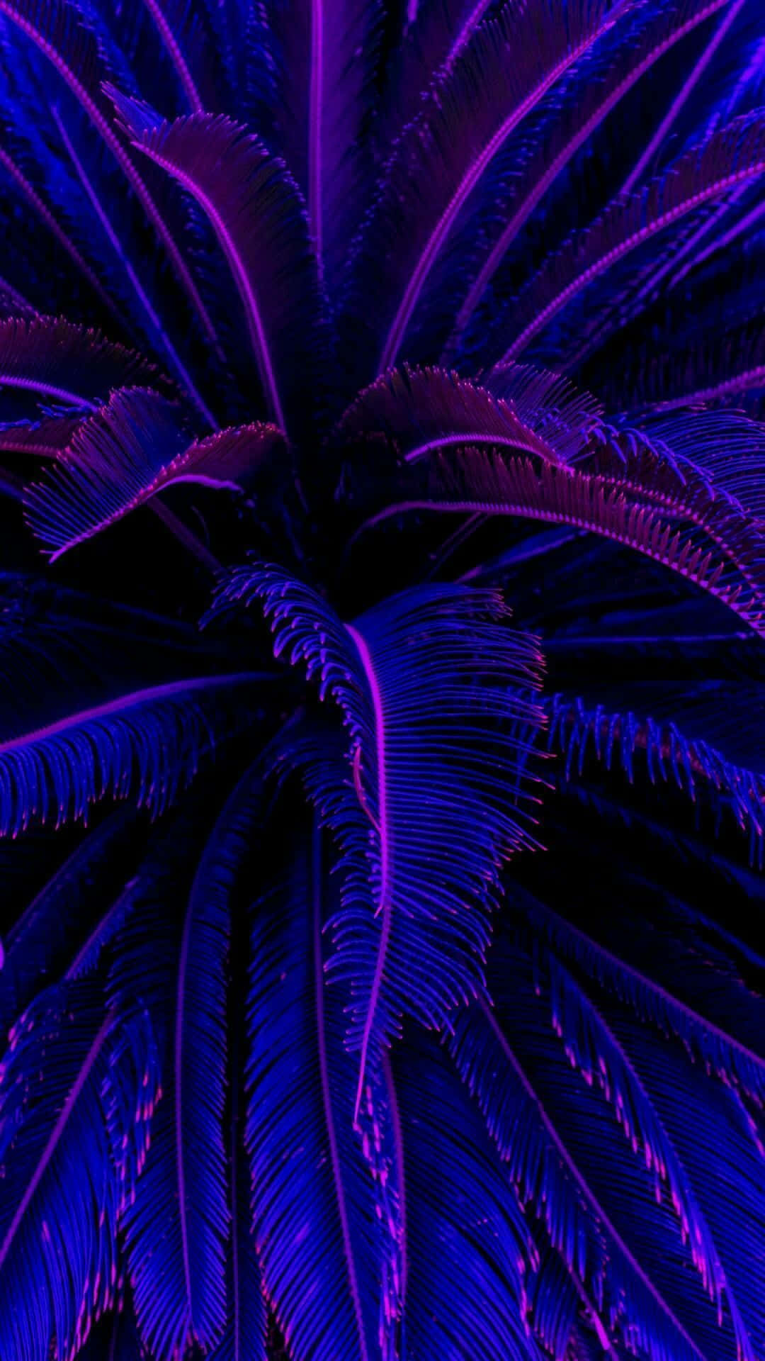 neon purple, blue fern fronds, pitch black background, Full HD Phone Wallpaper