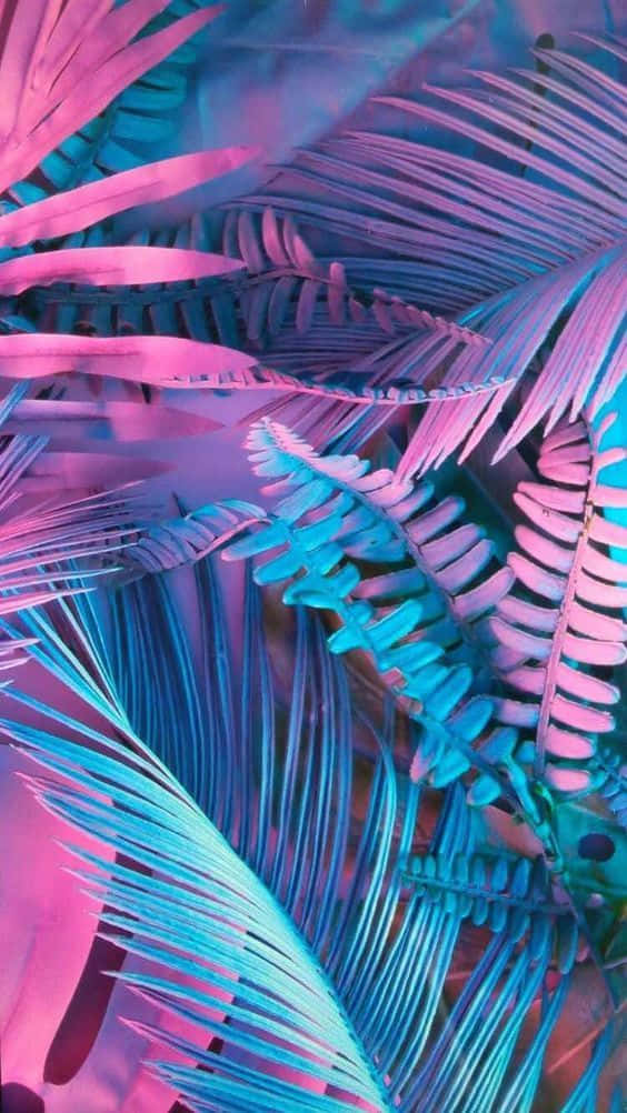 Neon Aesthetic Phone, neon pink, cyan, SD Phone Wallpaper