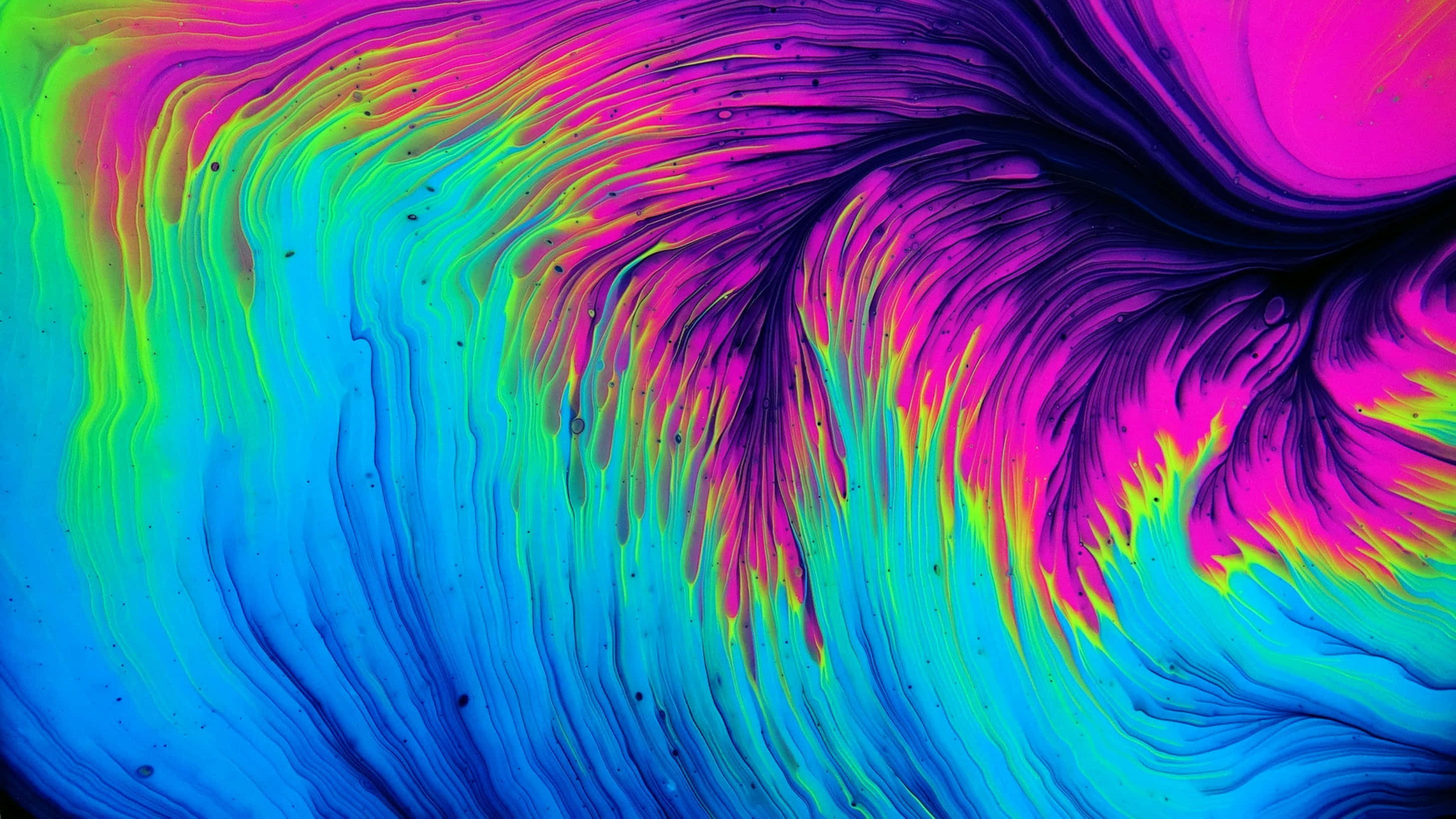 neon pink, cyan, purple, 2K Desktop Wallpaper