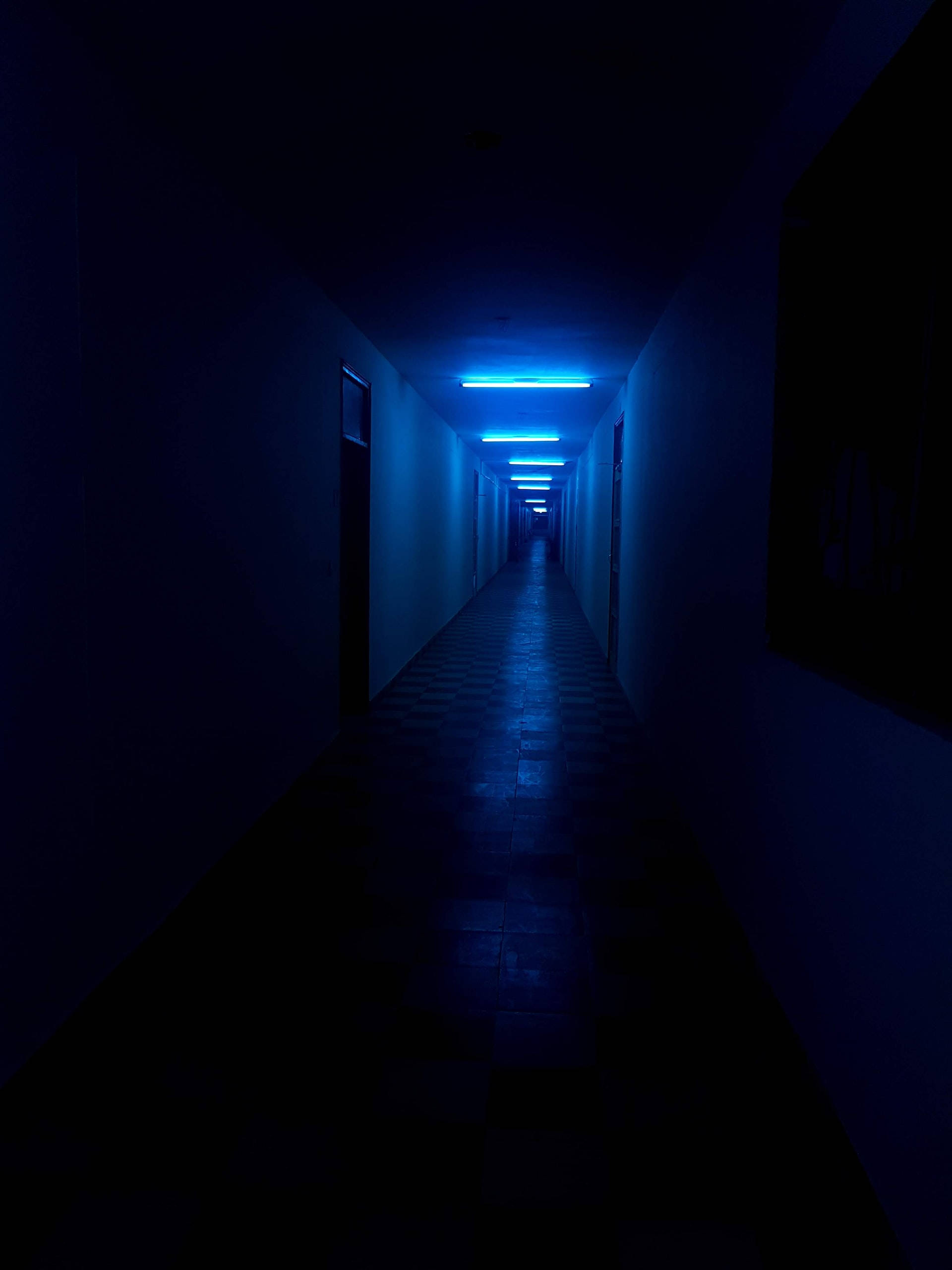 neon blue, hallway, fluorescent lights, 2K Phone Wallpaper