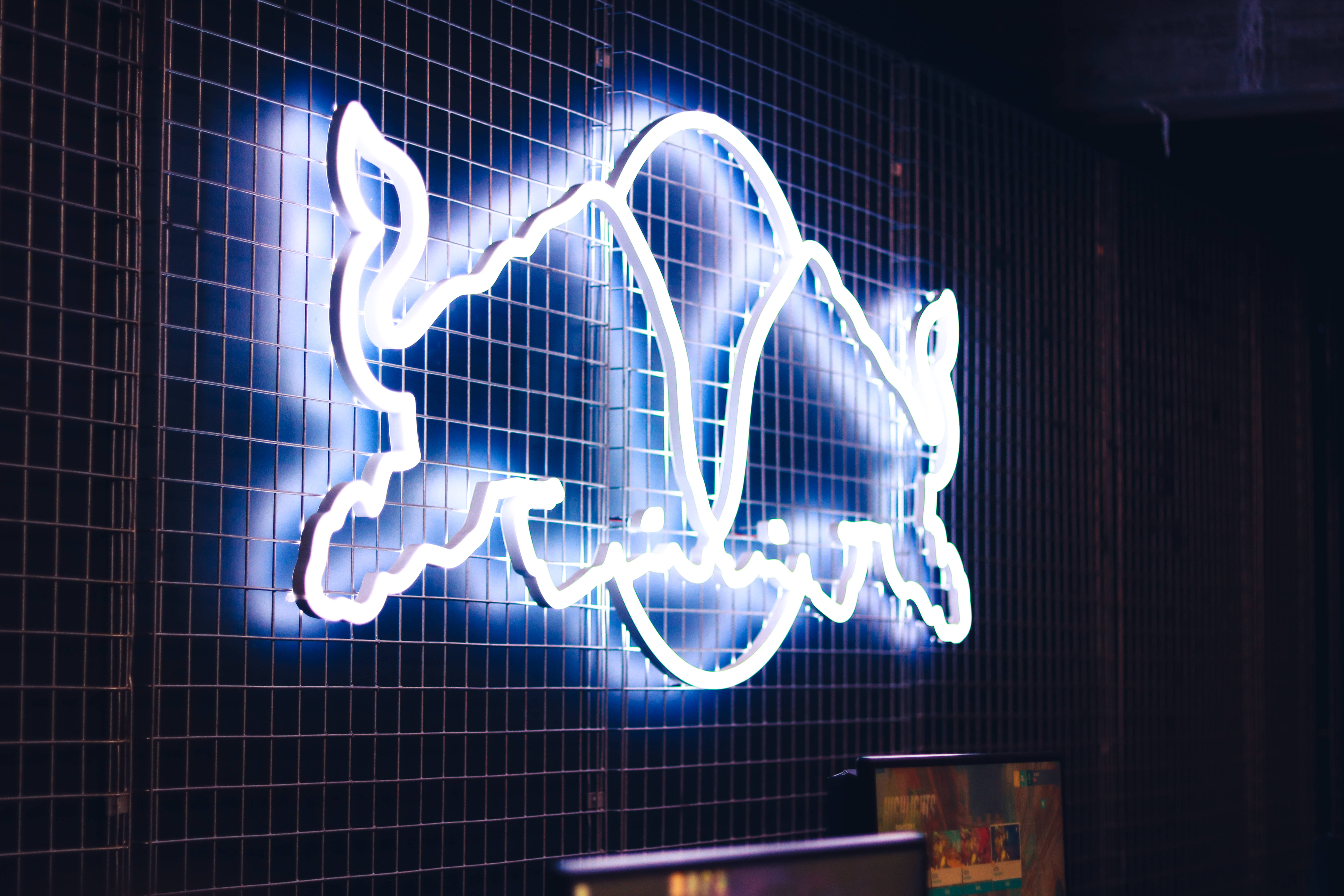 glowing white neon sign, rabbit silhouette, bright blue glow, 5K Desktop Wallpaper