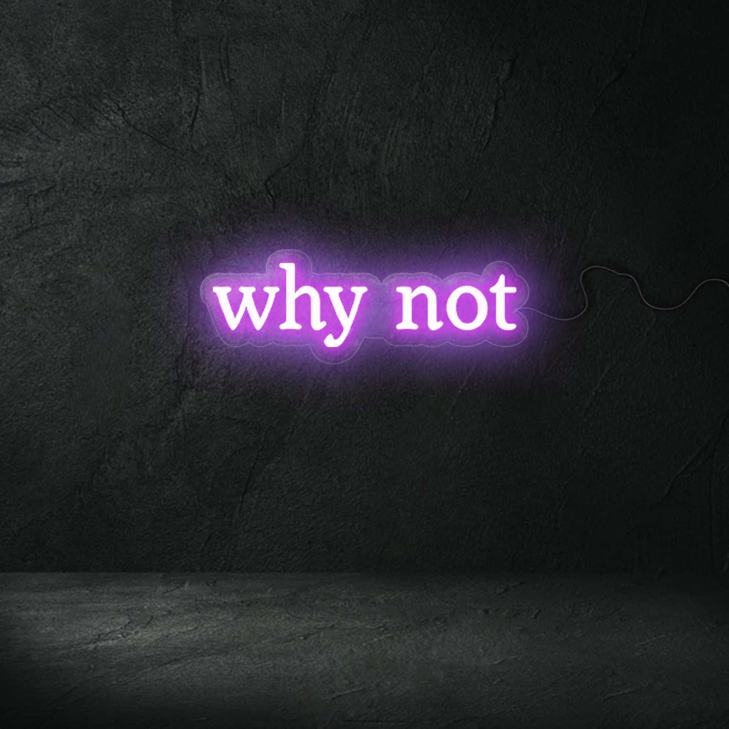 purple neon, why not, glowing neon sign, HD Desktop Wallpaper