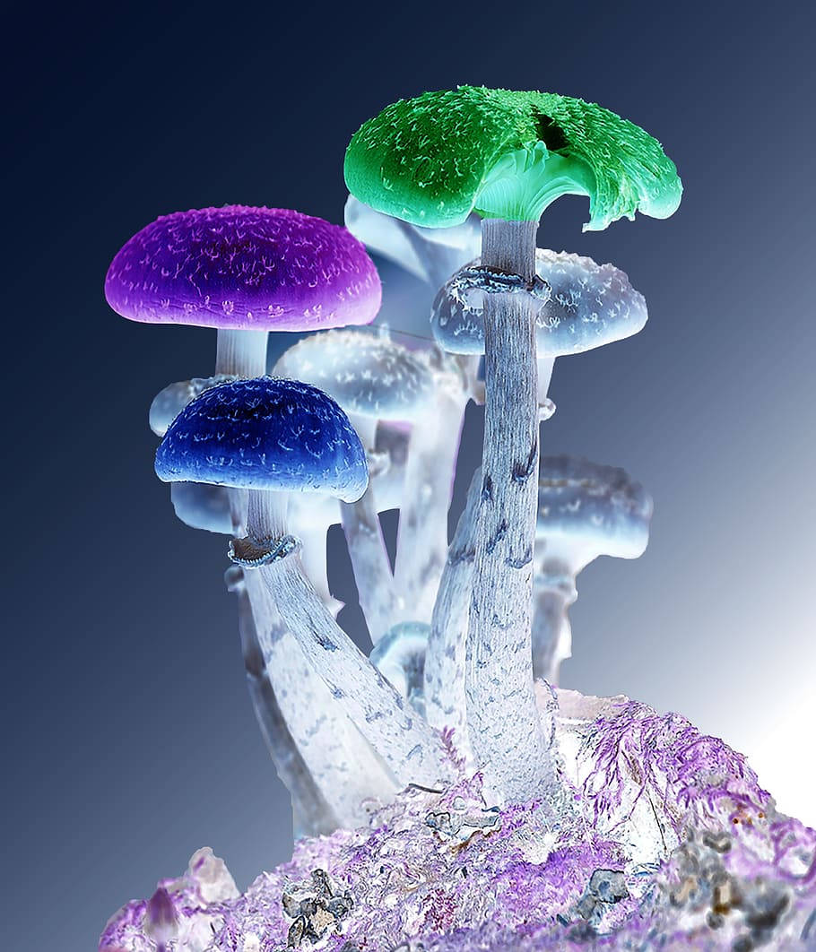 Psychedelic Mushroom, neon crystals, purple blue, SD Phone Wallpaper