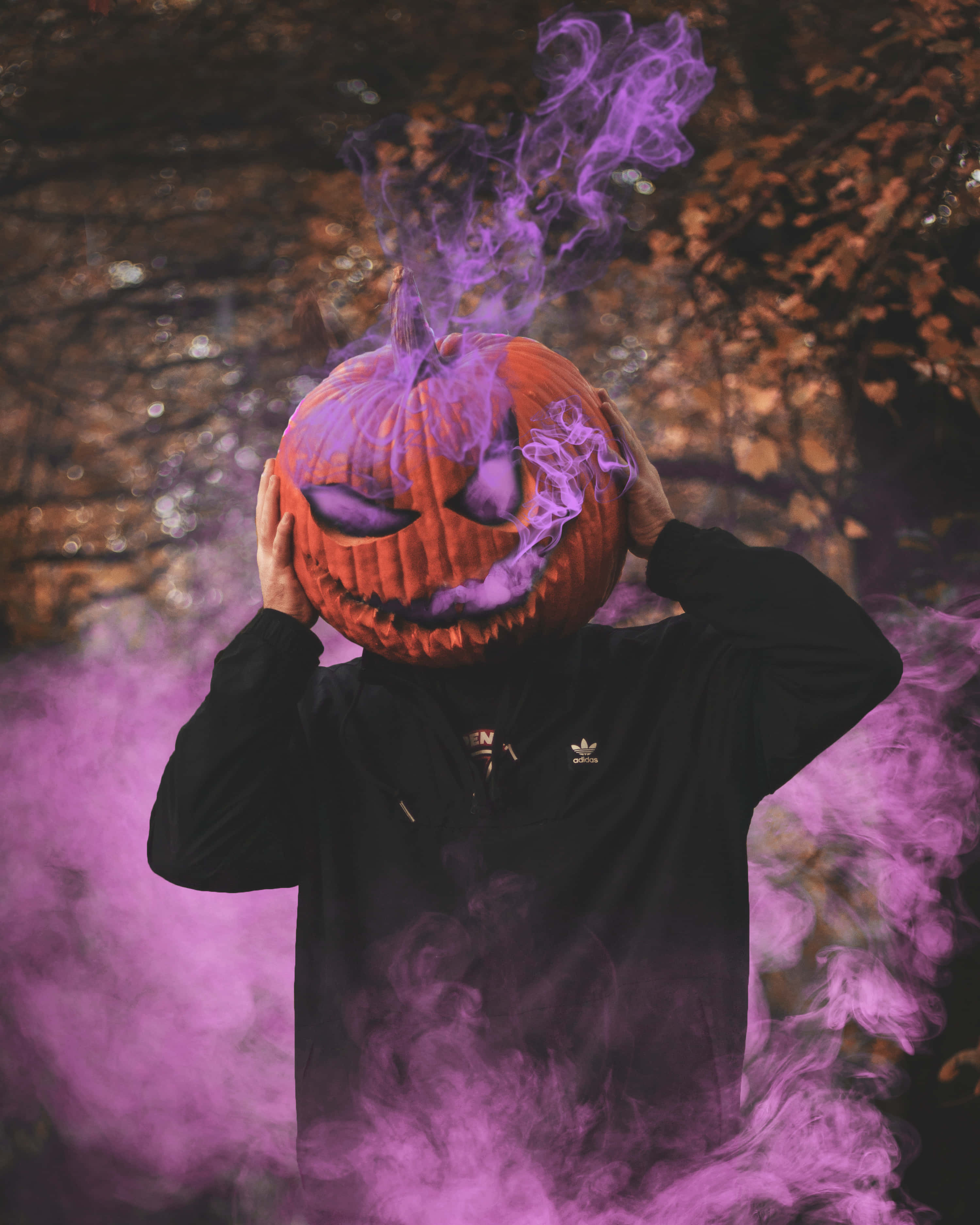 Purple Neon Halloween Smoke, black hoodie, carved pumpkin head, 2K Phone Wallpaper