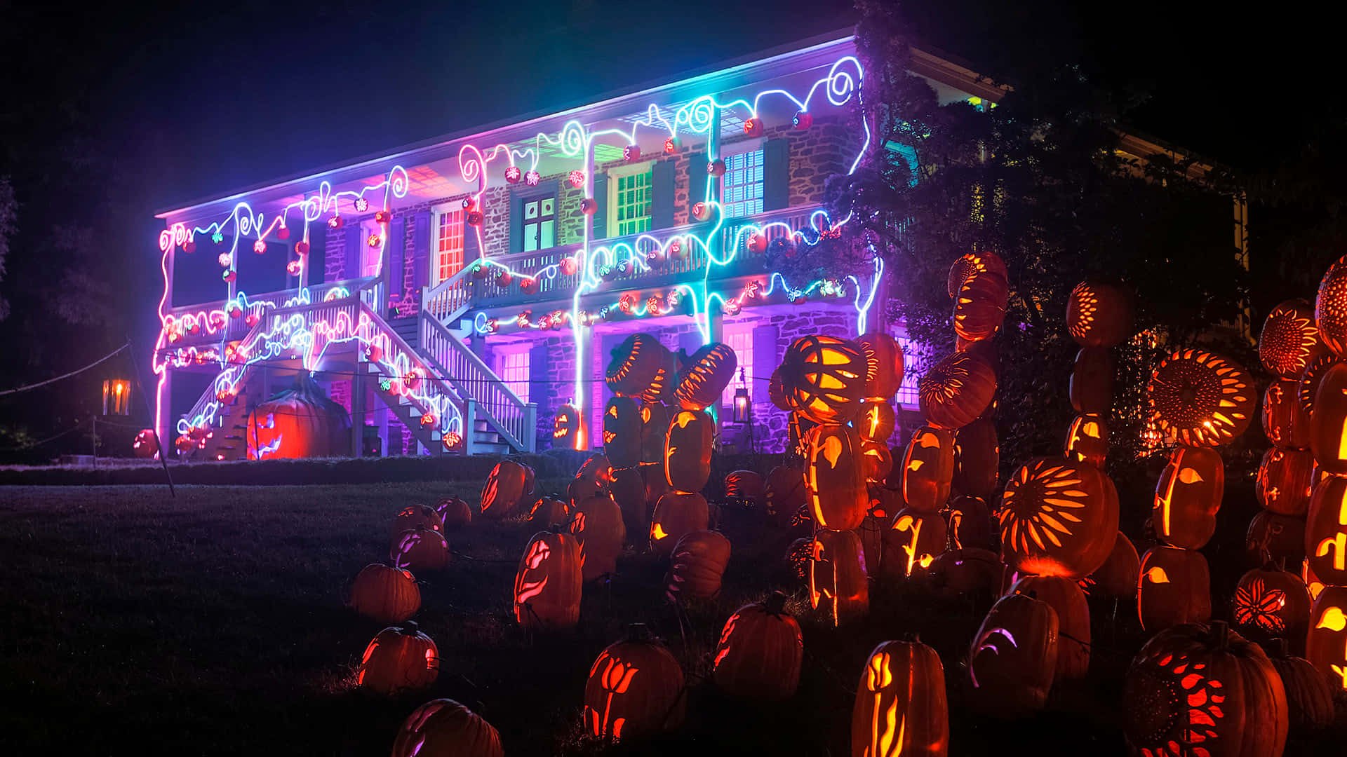 Neon House Zoom Party, night, vibrant neon lights, Full HD Desktop Wallpaper