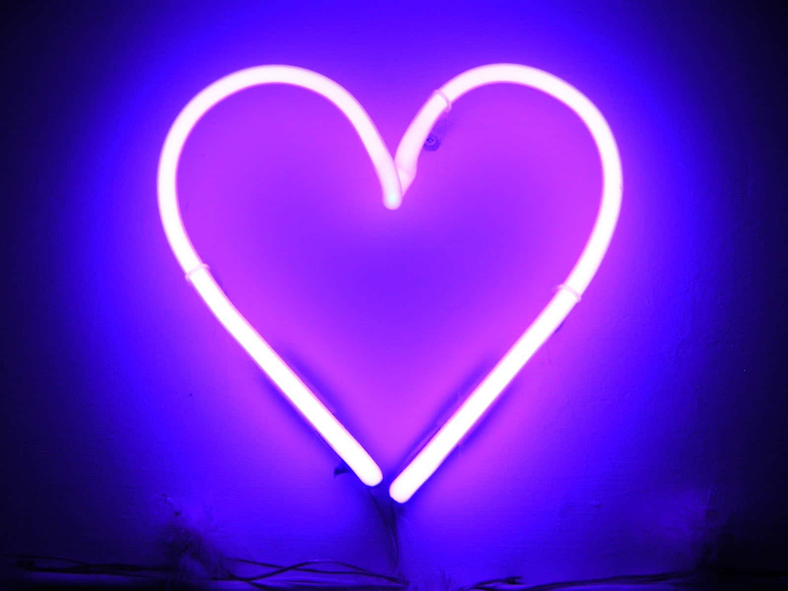Neon Heart, purple neon heart, glowing white neon heart, HD Desktop Wallpaper