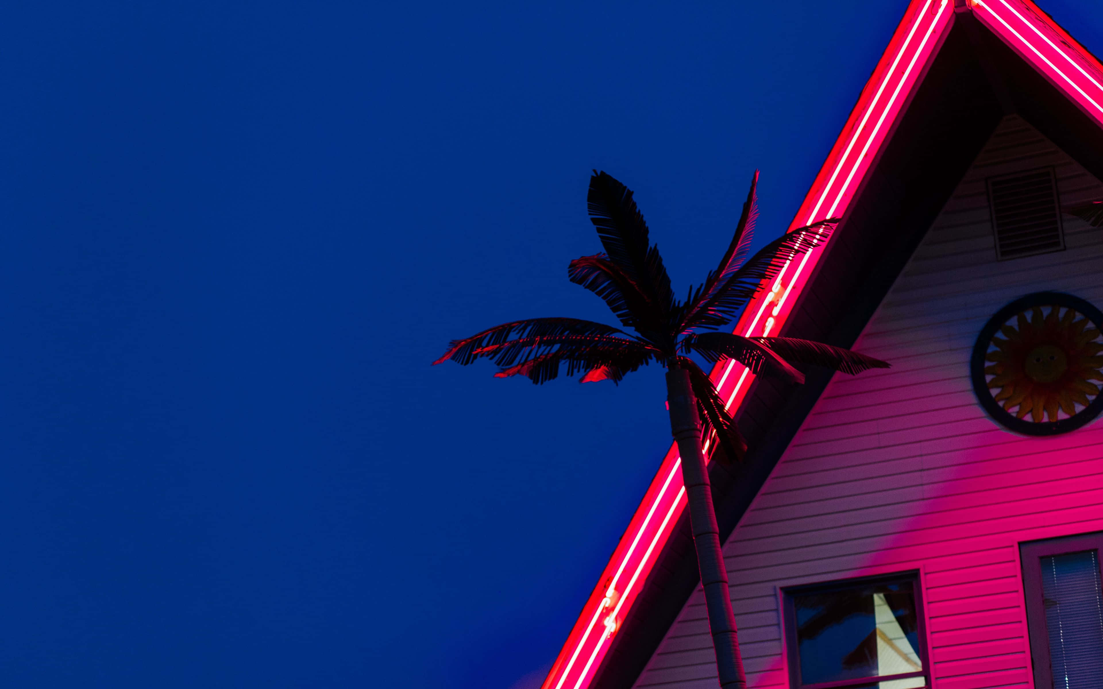 Neon House, palm tree, deep blue night sky, 4K Desktop Wallpaper