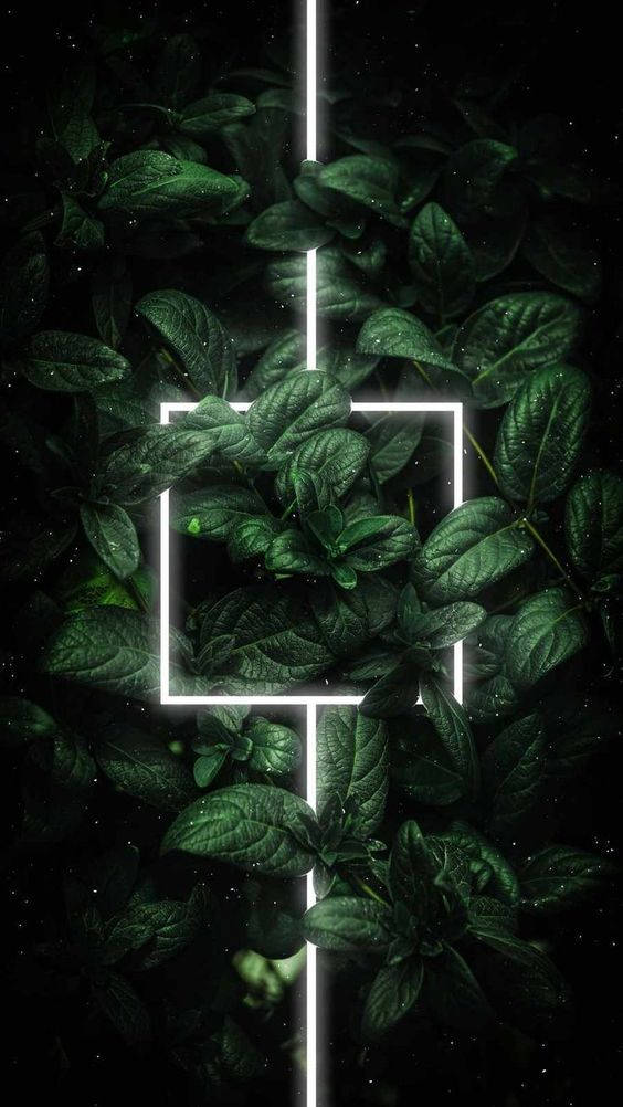 Dark Neon iPhone, neon white, geometric lines, SD Phone Wallpaper