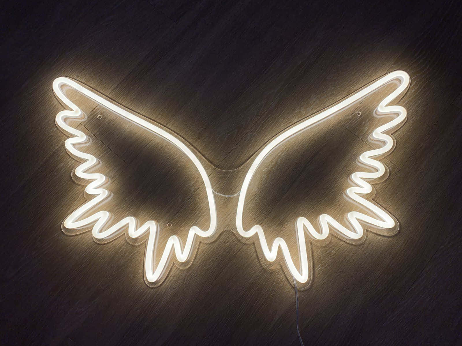 neon angel wing sign, glowing white neon, dark wooden wall, HD Desktop Wallpaper