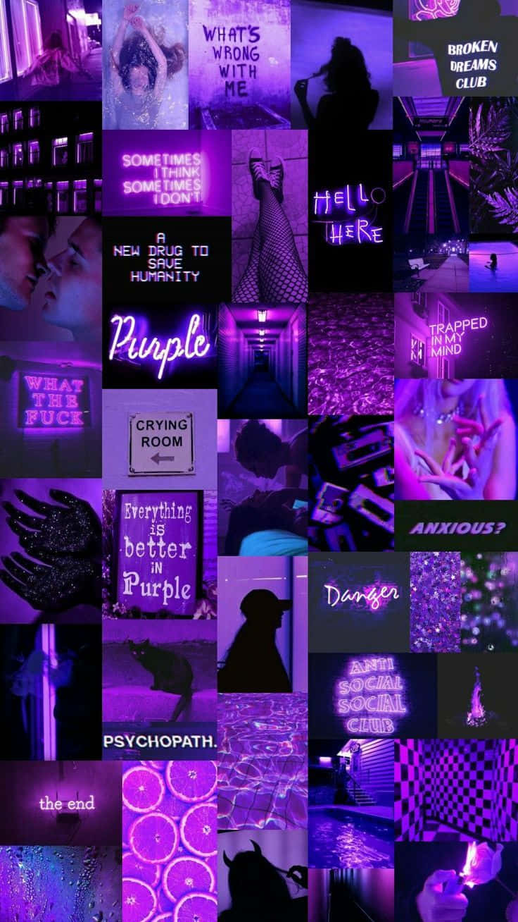 purple, neon signs silhouettes, text overlays, HD Phone Wallpaper