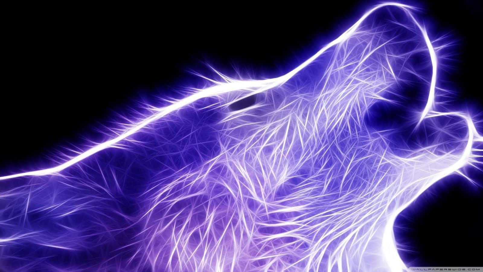 Neon Lights Aesthetic, purple, white, HD Desktop Wallpaper
