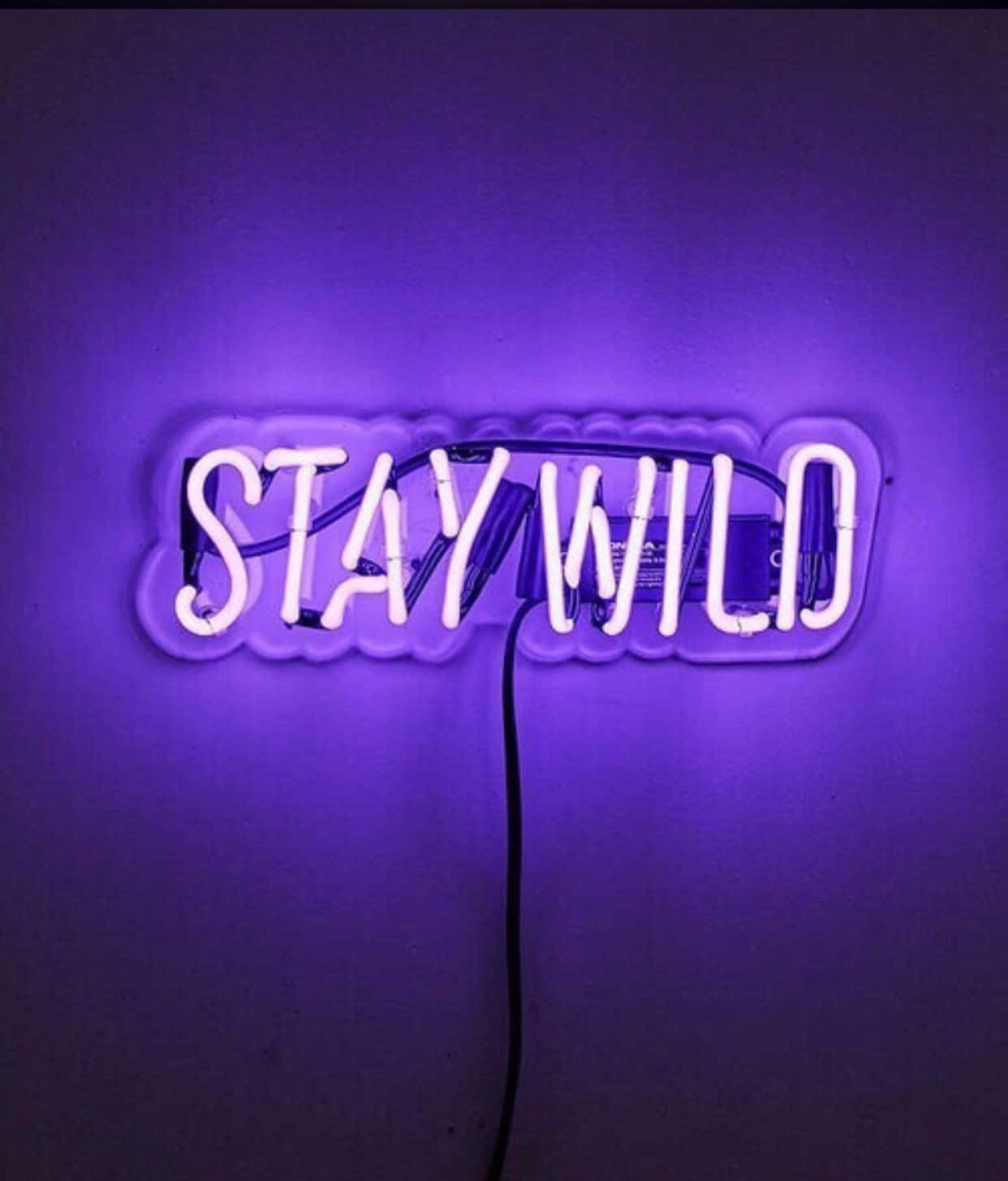 STAY WILD, glowing purple neon sign, plain wall, HD Phone Wallpaper