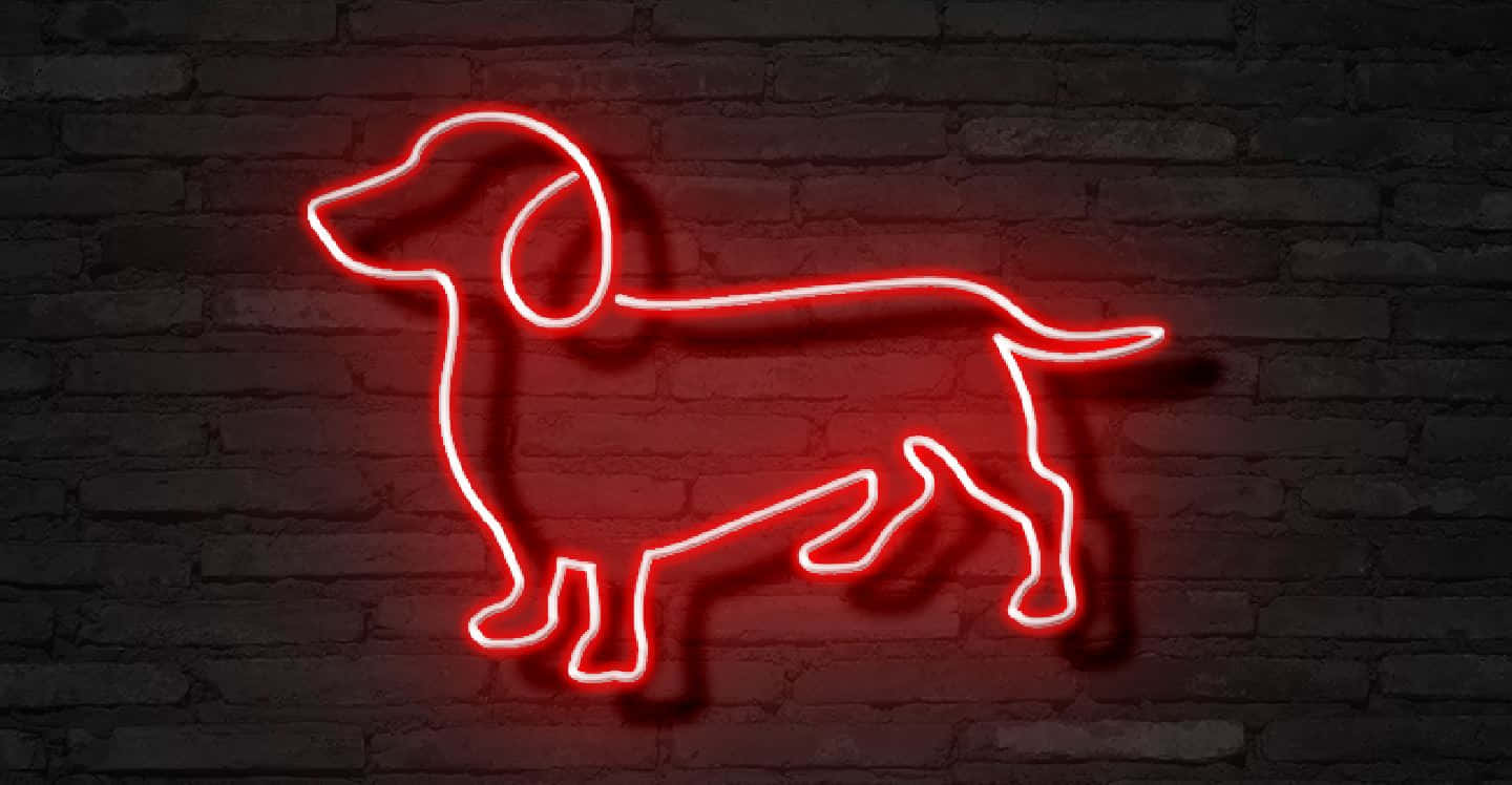 red neon sign, dachshund dog, dark brick wall, HD Desktop Wallpaper