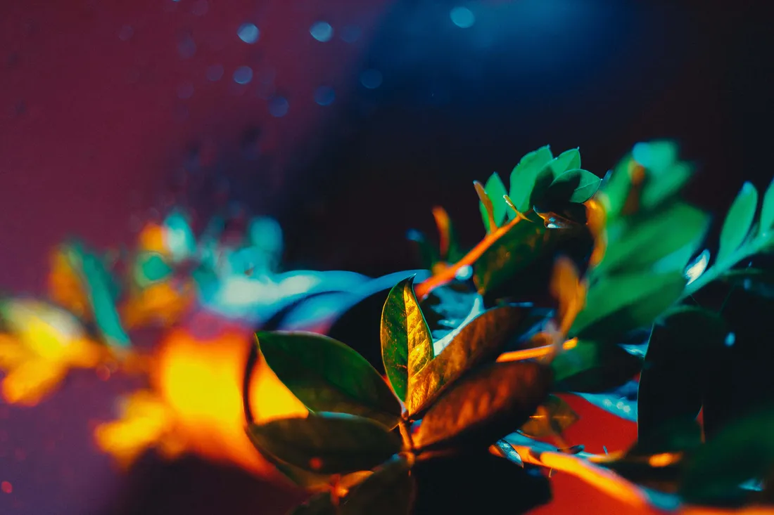 Neon Nature