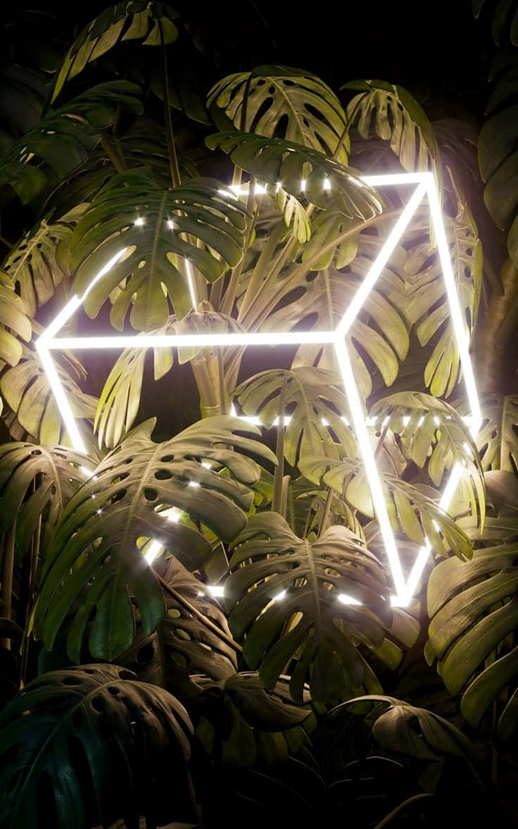 neon lit tropical foliage, glowing white neon cube frame, dense monstera leaves, SD Phone Wallpaper