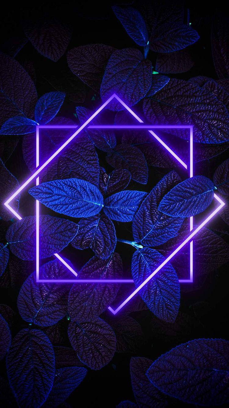 purple neon, geometric frame, dark blue textured leaves, HD Phone Wallpaper
