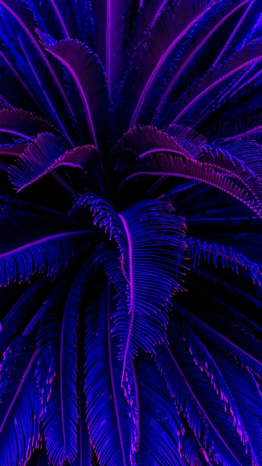 neon purple, neon blue, ferns, Full HD Phone Wallpaper