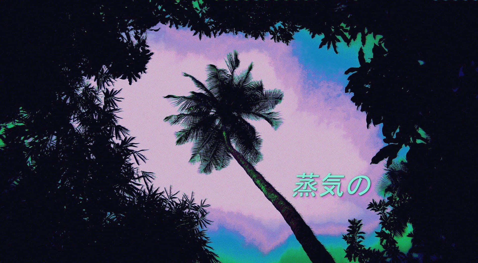 palm tree, surreal purple and teal sky, dark foliage, Full HD Desktop Wallpaper