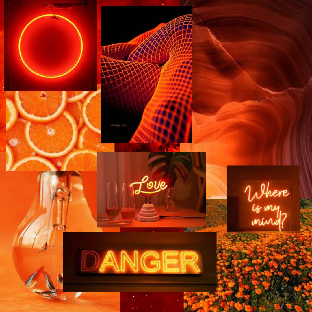 Neon Orange Aesthetic, collage, danger circle, SD Desktop Wallpaper