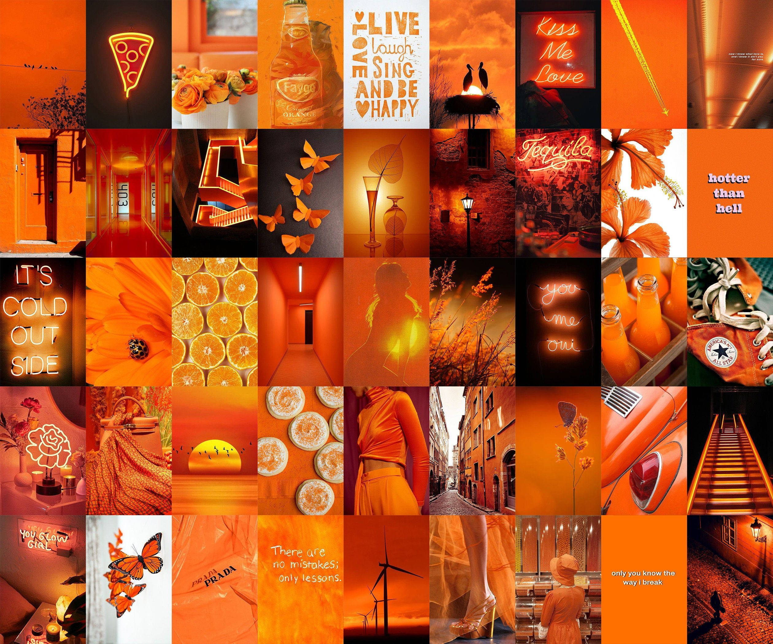 Neon Orange, neon signs, butterflies, Full HD Desktop Wallpaper