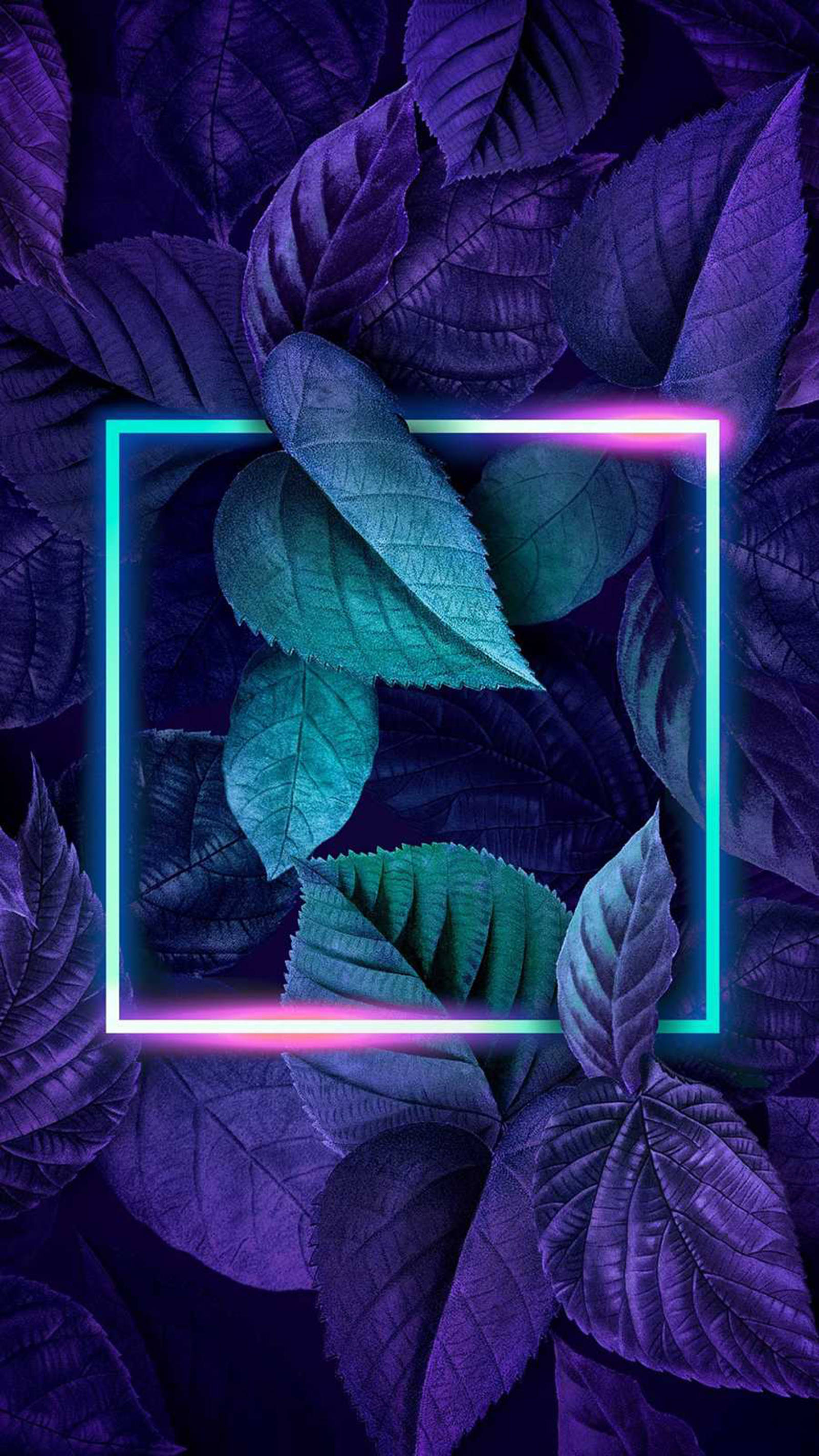 Neon Phone, teal, deep purple, 2K Phone Wallpaper