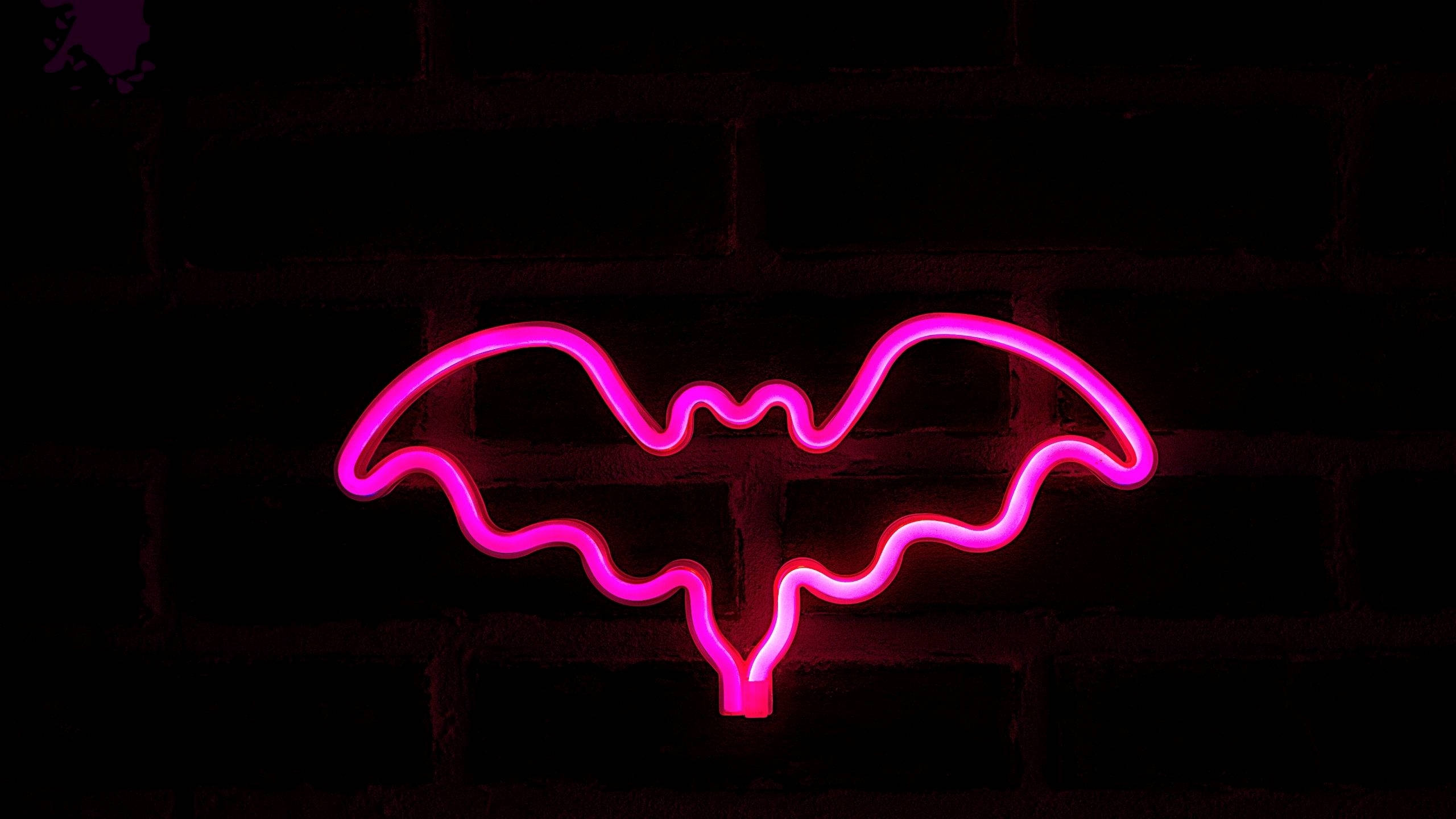 Neon Pink Aesthetic, flying bat, glowing pink neon bat, 2K Desktop Wallpaper