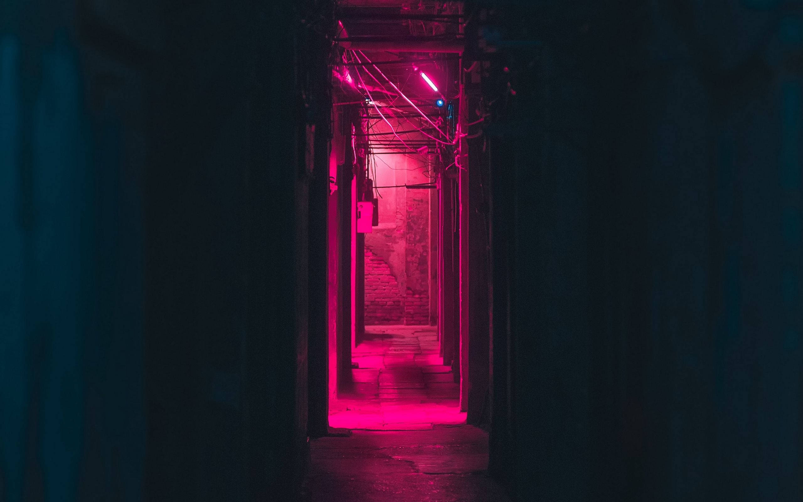 neon pink lights, narrow alleyway, intense pink neon light, 2K Desktop Wallpaper