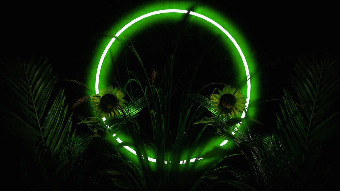 Neon Glow Garden Night, glowing green neon ring, sunflowers, SD Desktop Wallpaper