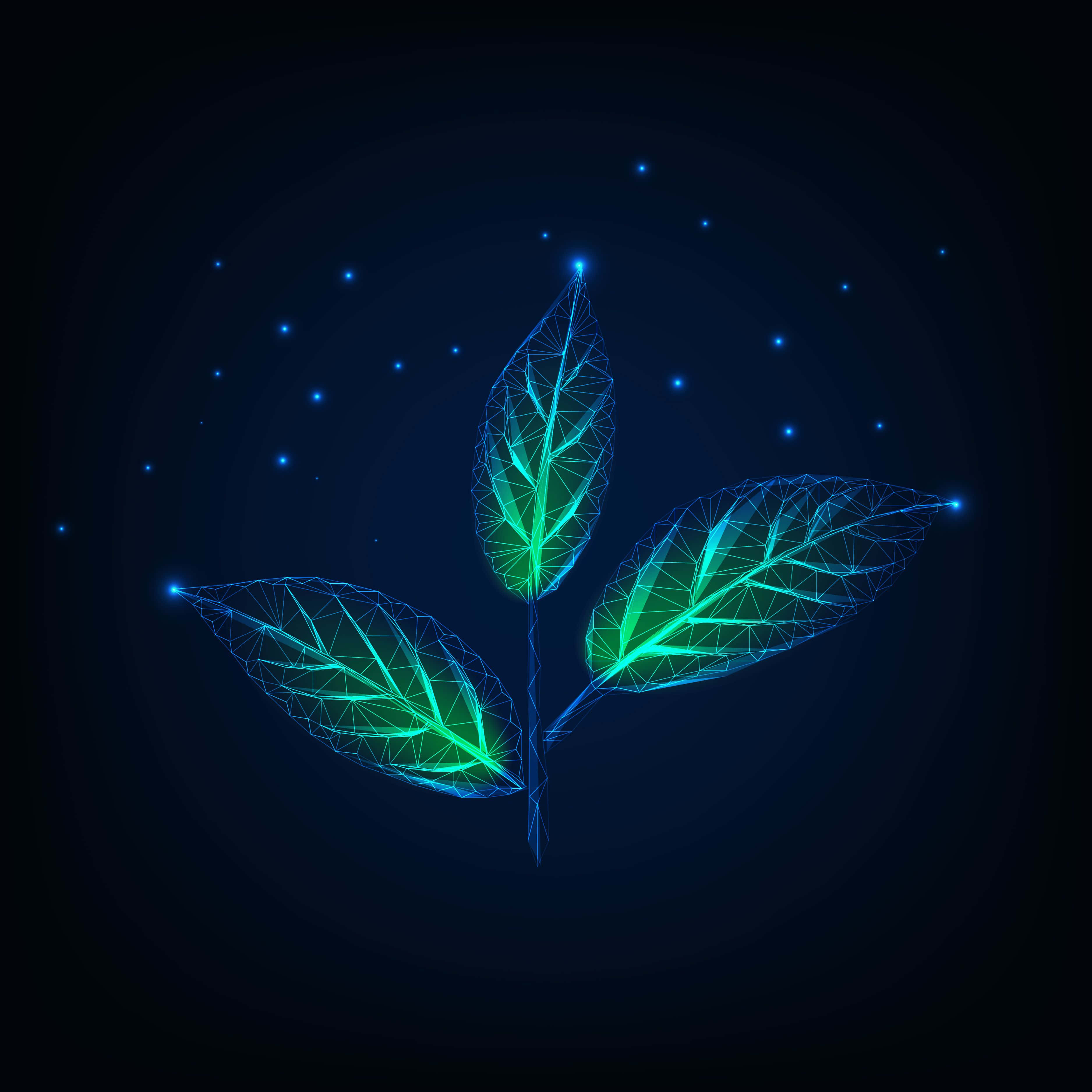 neon green, polygonal plant, three leaves, 2K Desktop Wallpaper