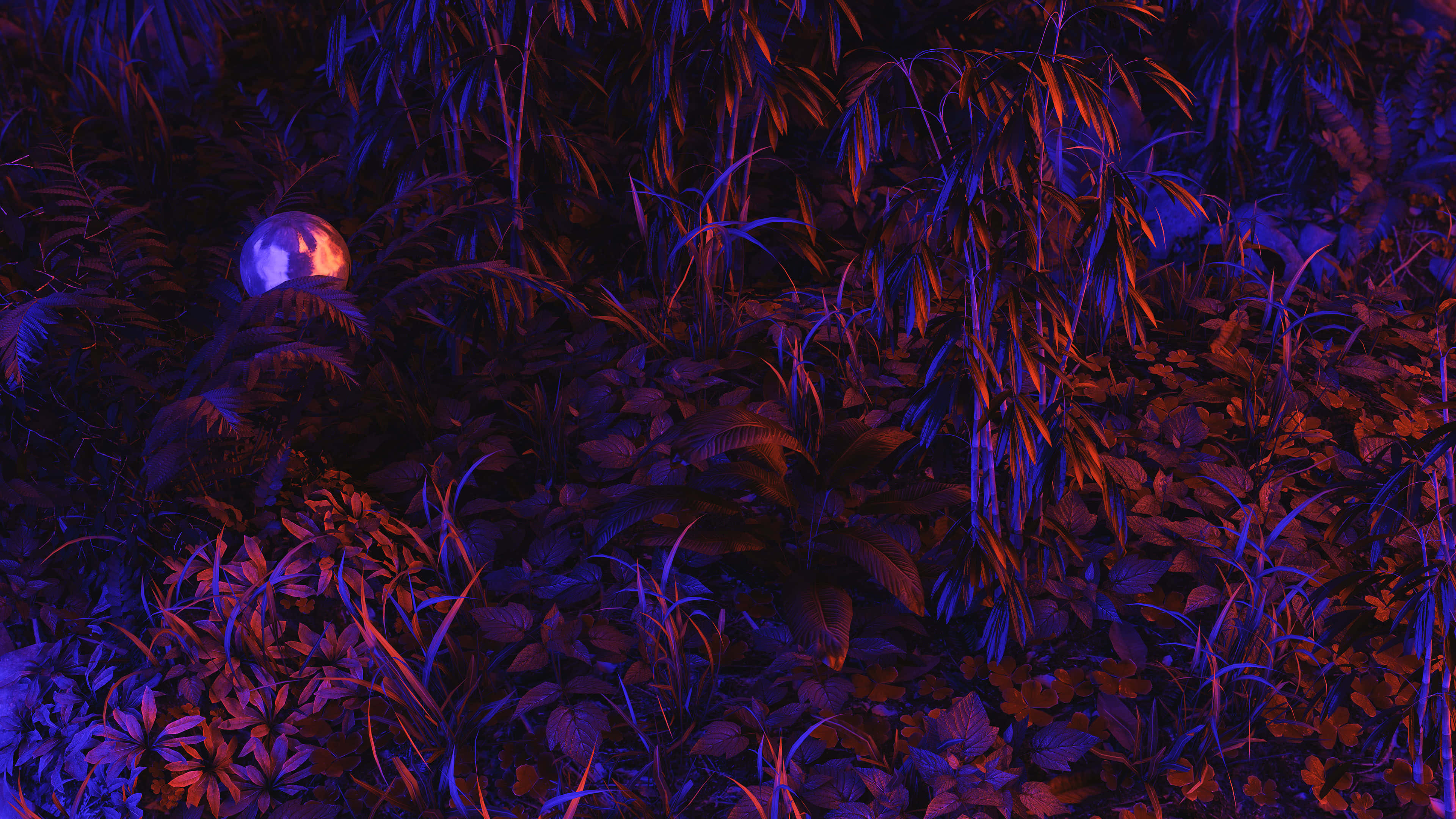 neon plants, electric purple, fiery orange, 4K Desktop Wallpaper