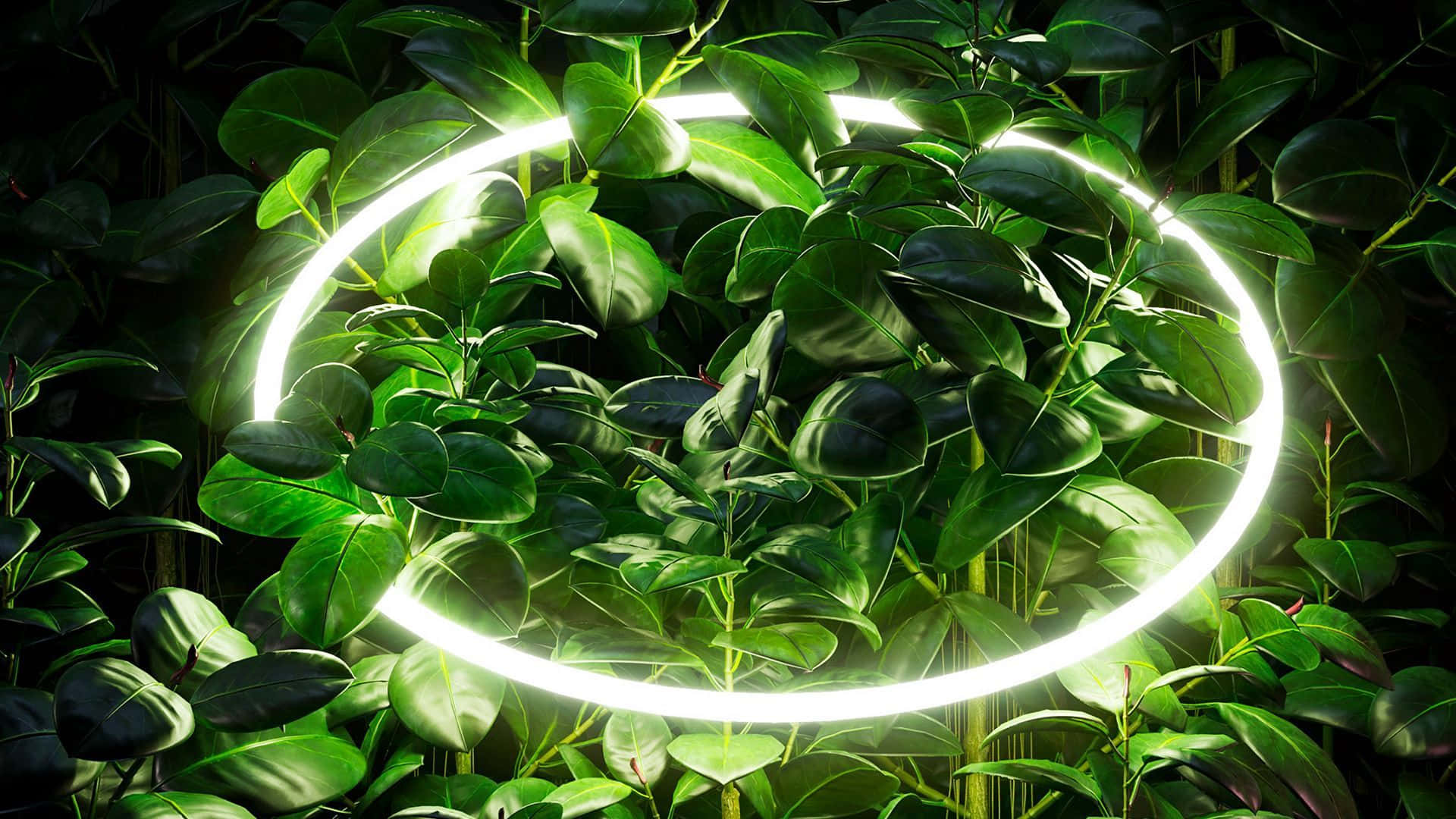 neon ring, lush green foliage, dark immersive digital scene, Full HD Desktop Wallpaper