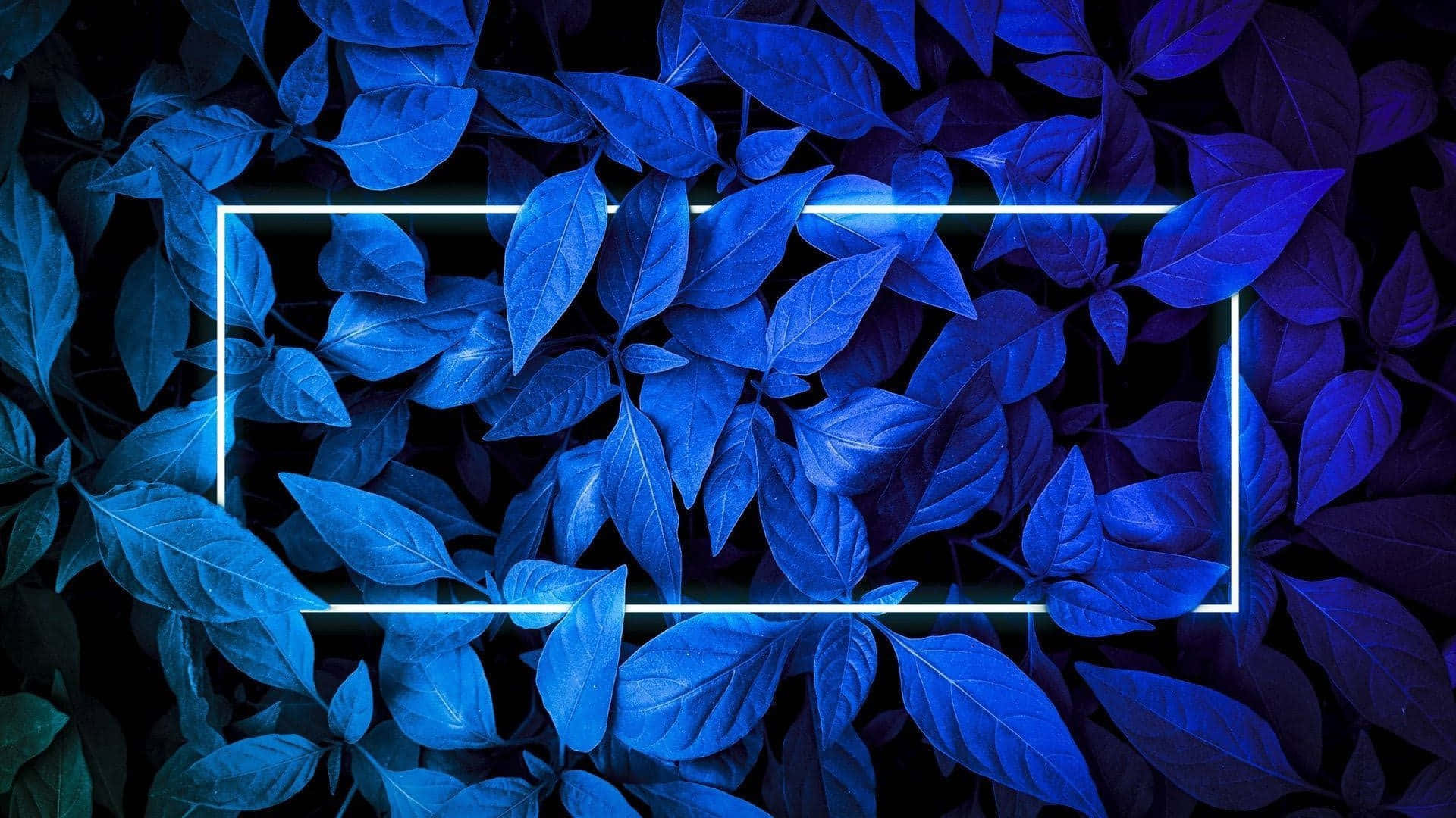 neon plants, vibrant blue leaves, neon light, Full HD Desktop Wallpaper
