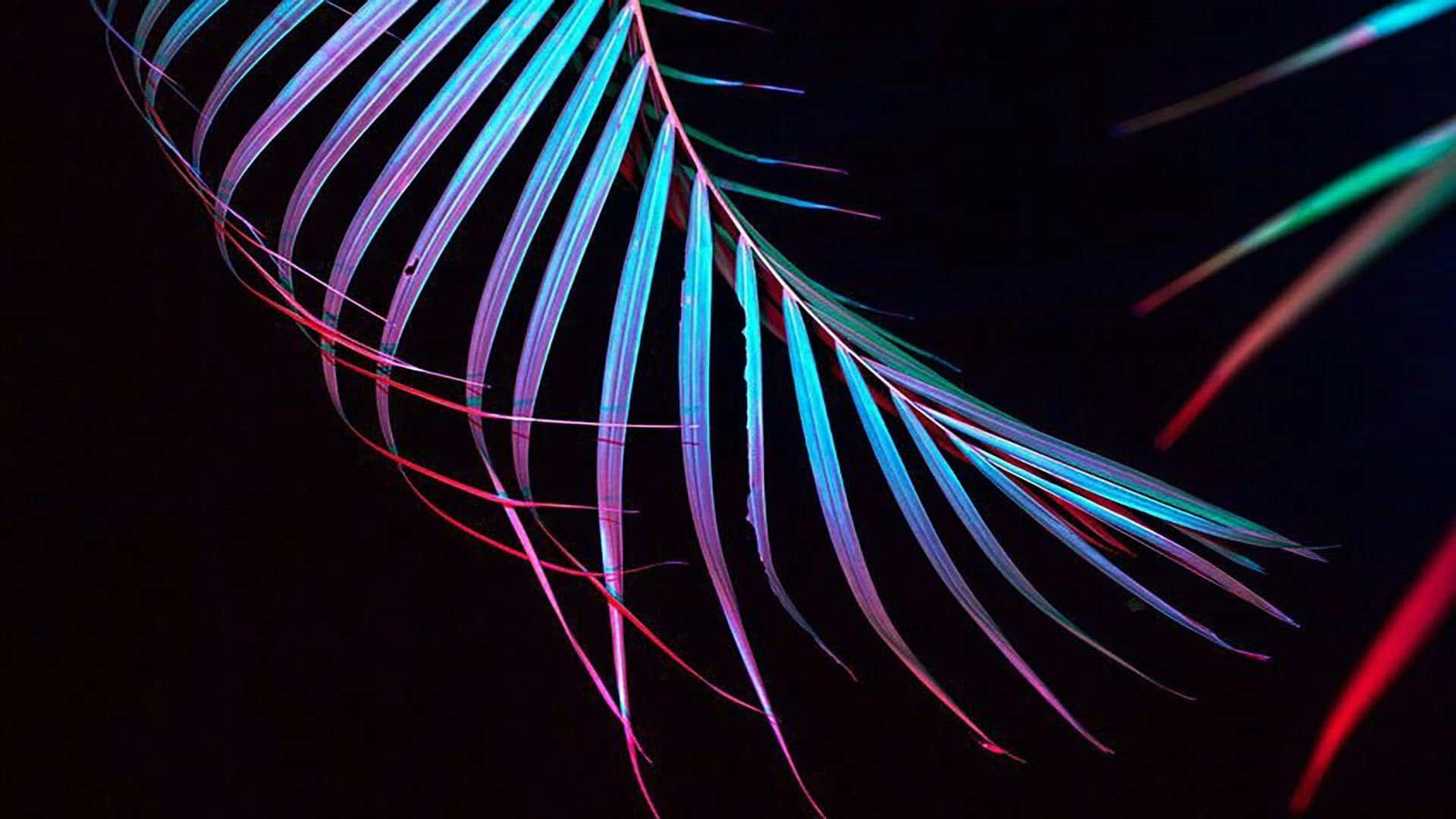 neon blue, neon pink, neon red, Full HD Desktop Wallpaper
