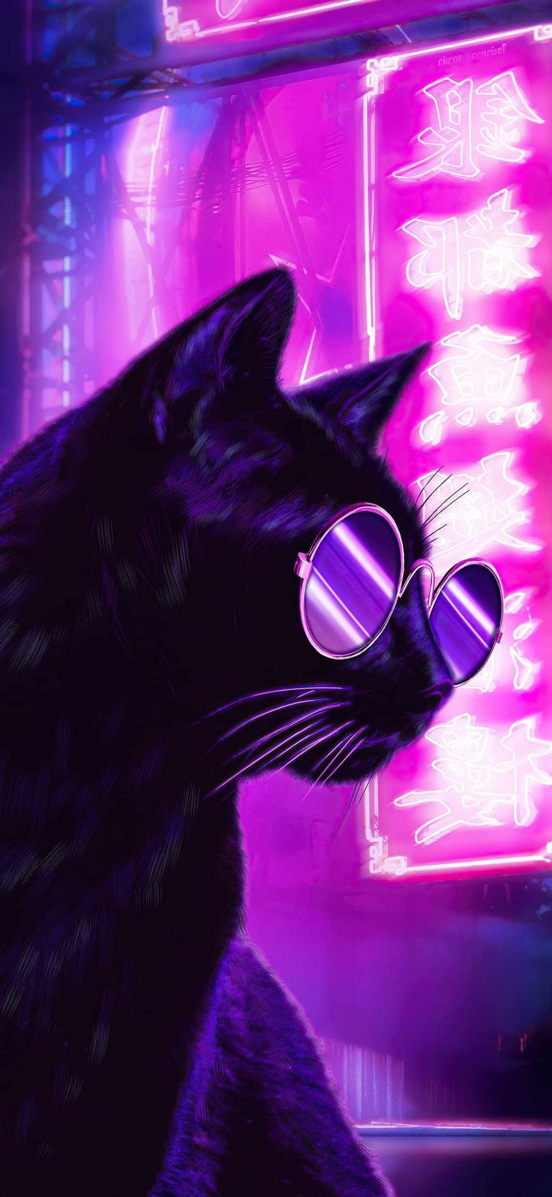 Neon Purple iPhone, cat with glasses, round purple-tinted sunglasses, Full HD Phone Wallpaper